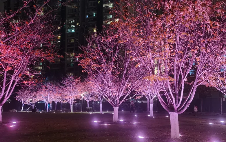 Wuhan Huangxiaohe West Road Cherry Blossom Forest Landscape Lighting Project