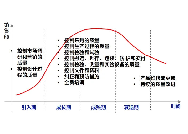 12.webp